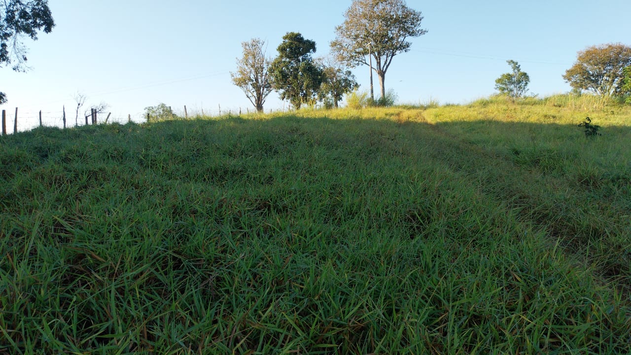 Leia mais sobre o artigo TERRENO P/ VENDA SOCORRO-SP R$1.200.000,00